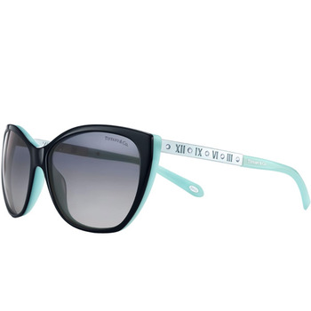 Tiffany & Co. Women's Sunglasses TF-4094B